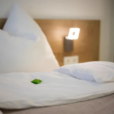 Apartamento Ganzstein *