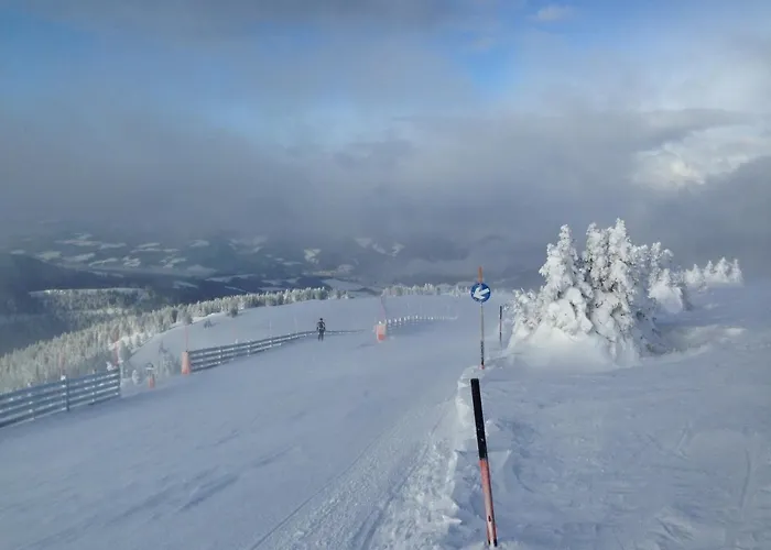 Ganzstein * מורצשלאג